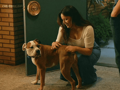 a woman kneeling down next to a brown and white dog with chenford gifs on the bottom