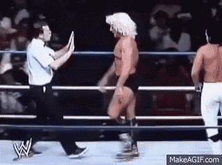 a referee is giving a high five to a wrestler in a ring .