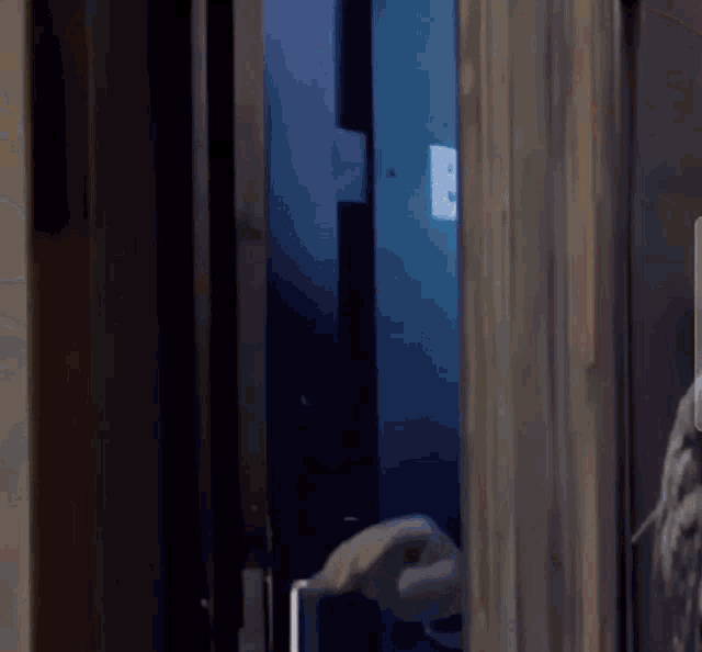 a door with a light switch on it