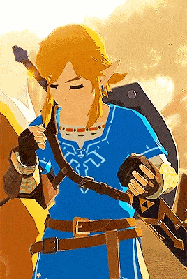 link from the legend of zelda is holding a sword and shield .