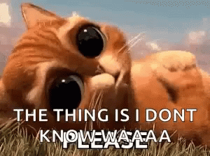 Puss In Boots Cat GIF - Puss In Boots Cat Sad Face GIFs