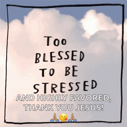 Blessed Too Blessed GIF - Blessed Too Blessed To Be Stressed GIFs