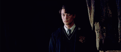 Voldemort Lord GIF - Voldemort Lord Harry GIFs