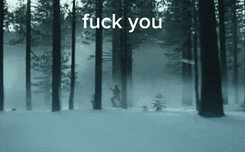a snowy forest with the words " fuck you " in white
