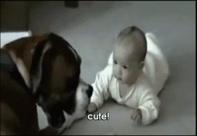 a baby is crawling next to a dog that says cute on the bottom right