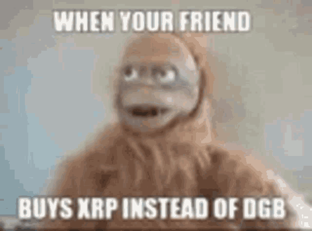 a monkey is wearing a hooded jacket and says `` when your friend buys xrp instead of dgb ''