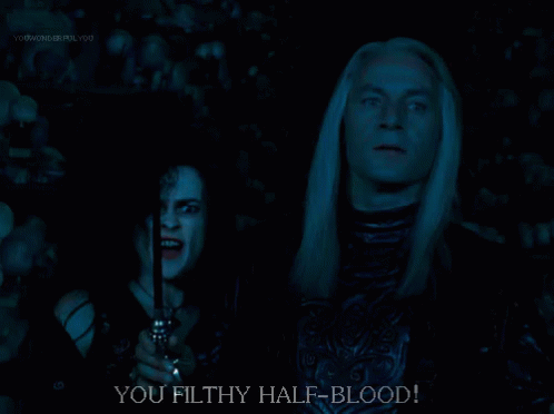 Filthy Half Blood GIF - Harry Potter Angry You Filthy Half Blood GIFs