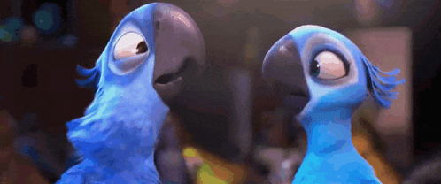 two blue parrots are looking at each other with their eyes wide open