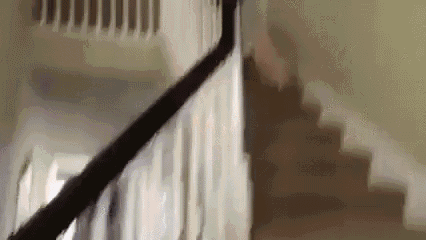 Puppies Fall GIF - Puppies Fall Stairs GIFs