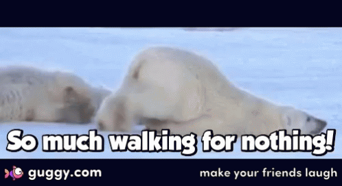 Polar Bear So Much Walking For Nothing GIF - Polar Bear So Much Walking For Nothing Lazy GIFs