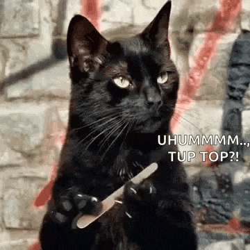 a black cat is sitting on its hind legs holding a nail file .