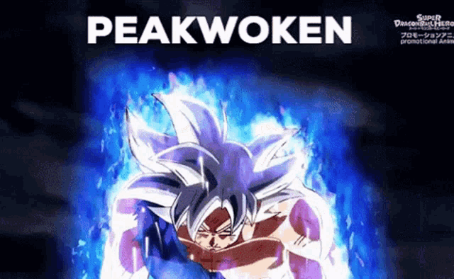 a poster for a video game called super dragonball hero