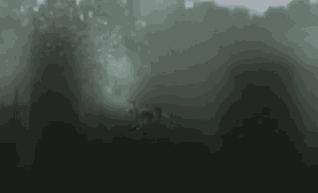a person is swimming underwater in a dark forest with trees in the background .