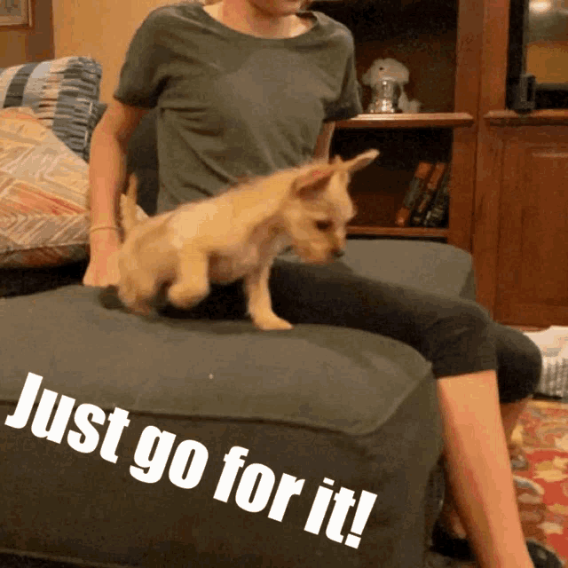 Just Do It Puppy GIF - Just Do It Puppy Jump GIFs