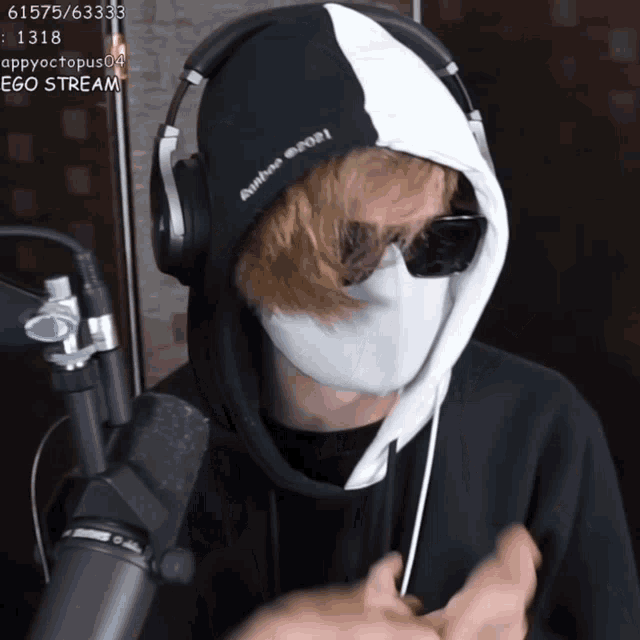 a man wearing a mask and headphones has ego stream written on the bottom