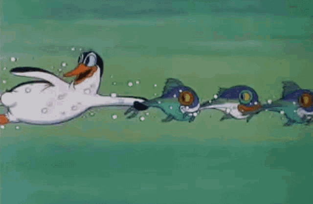 a cartoon duck is swimming in the water with three fish behind it .
