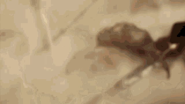 a sword is laying on a rock in a foggy scene