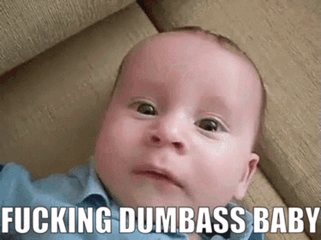 a baby is laying on a couch with the words " fucking dumbass baby " above it
