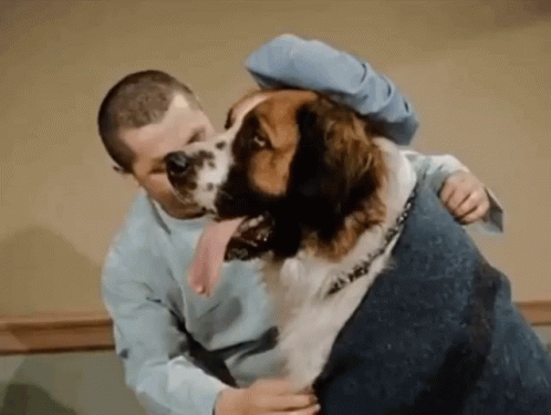 Three Stooges Curly GIF - Three Stooges Curly Dog GIFs