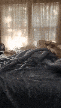 a bed in front of a window with blinds on