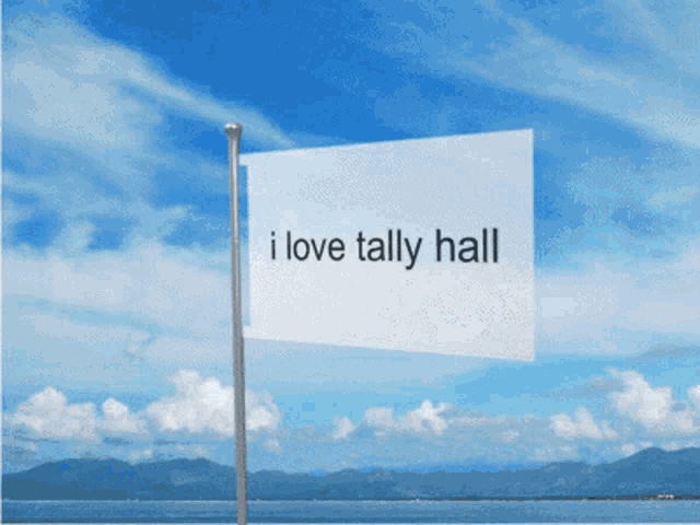 a flag that says i love tally hall is flying in the wind