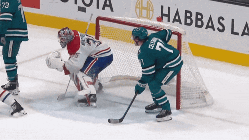 a hockey goalie with the number 7 on his jersey