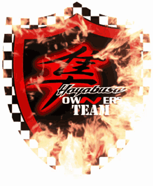 a logo for hayabusa owners team with flames surrounding it