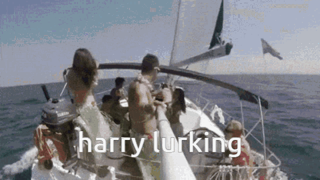 a group of people are riding a sailboat in the ocean and the caption says harry lurking .