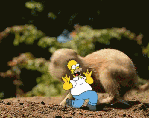 Homer And The Gopher GIF - Prancing The Simpsons Homer Simpson GIFs
