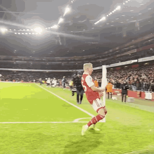 Zinchenko Arsenal GIF - Zinchenko Arsenal Emirates Stadium GIFs