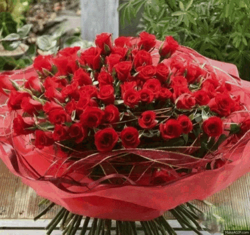 Flowers Greet GIF
