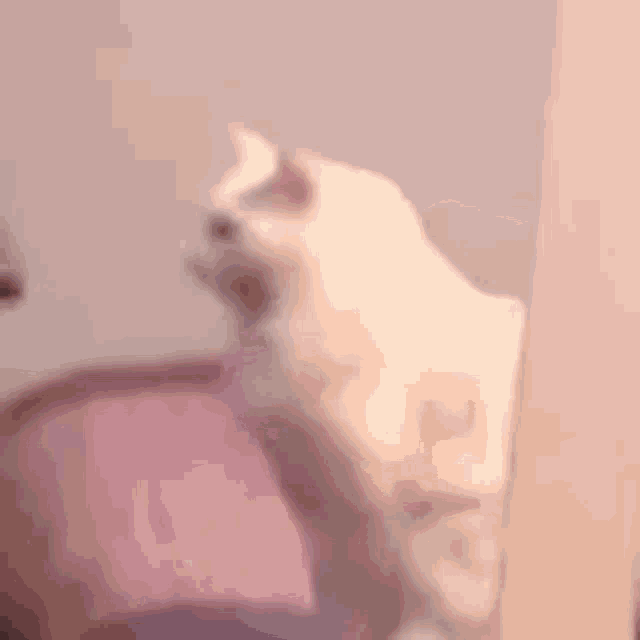 Matmazel Sleeping GIF - Matmazel Sleeping Cat GIFs