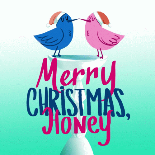 Merry Christmas Honey Merry Xmas Honey GIF - Merry Christmas Honey Merry Xmas Honey Happy Holidays GIFs