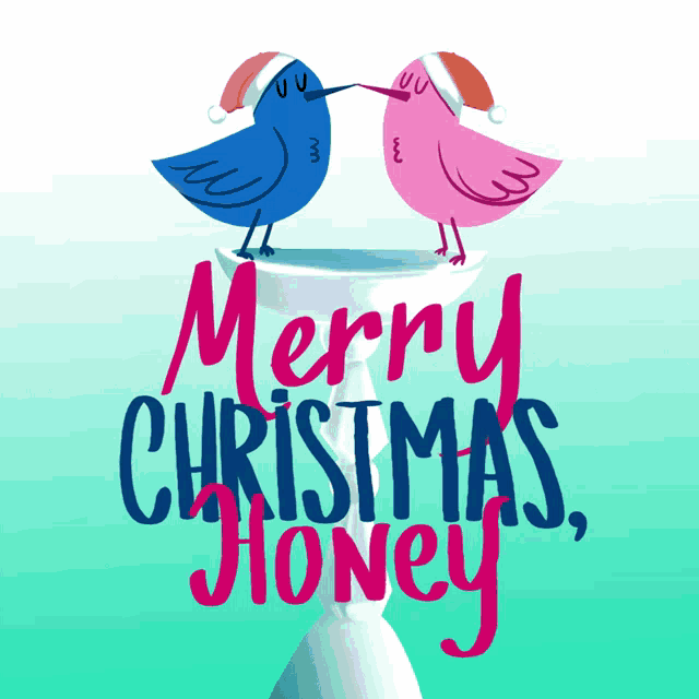 a merry christmas honey greeting card with two birds kissing