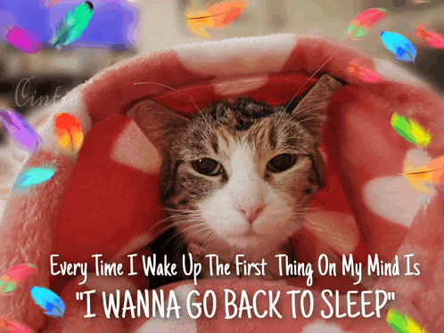 a cat is wrapped in a pink and white blanket with feathers flying around it