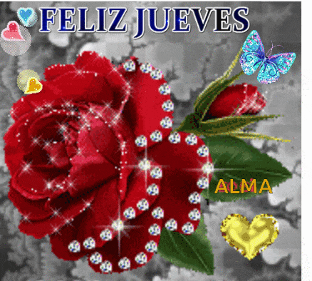 a feliz jueves greeting card with a red rose and butterflies