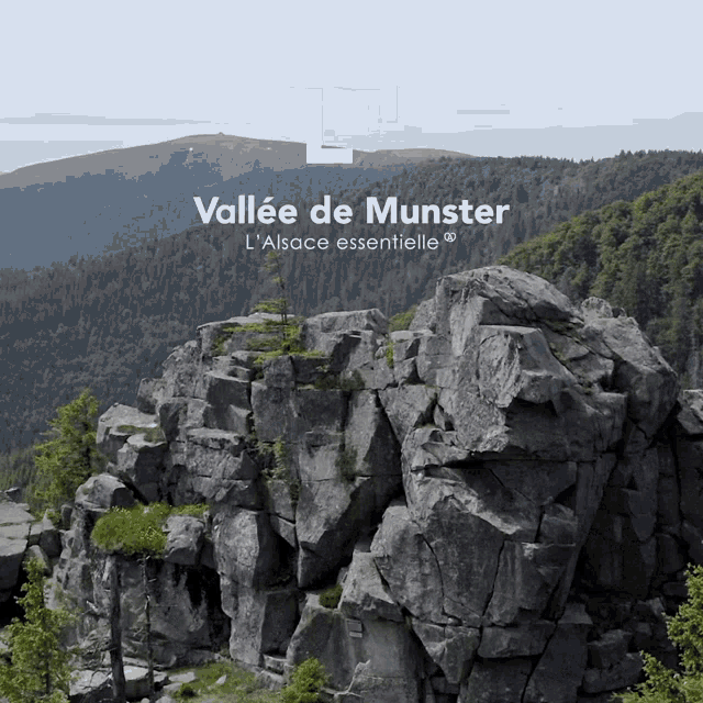 Tanet Massif Des Vosges GIF - Tanet Massif Des Vosges Vallée De Munster GIFs