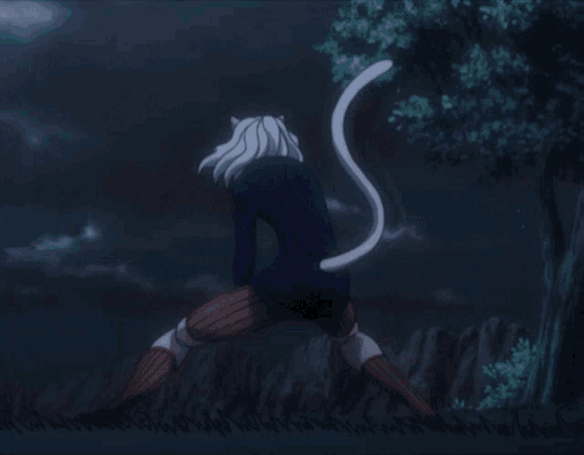 a cat with a white tail is standing in the grass at night