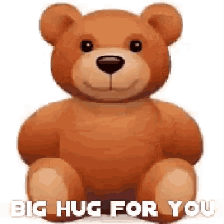 Bear Big Hug GIF - Bear Big Hug Hug GIFs