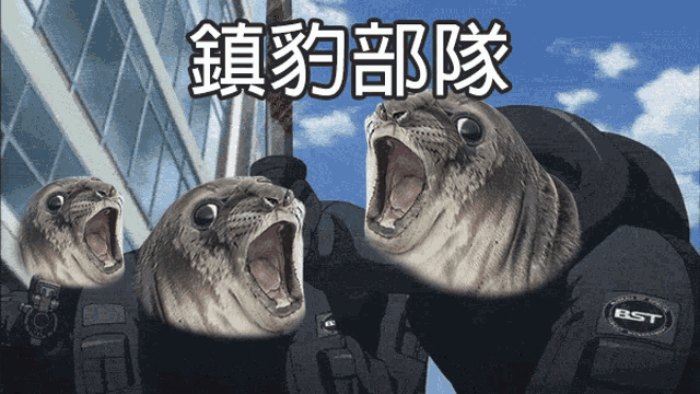 a group of seals wearing bst uniforms with their mouths wide open