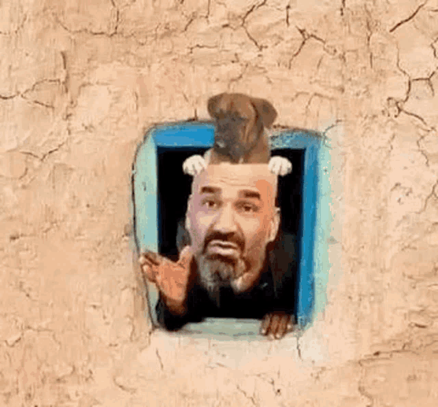 a man is sticking his head out of a window with a dog on top of his head .