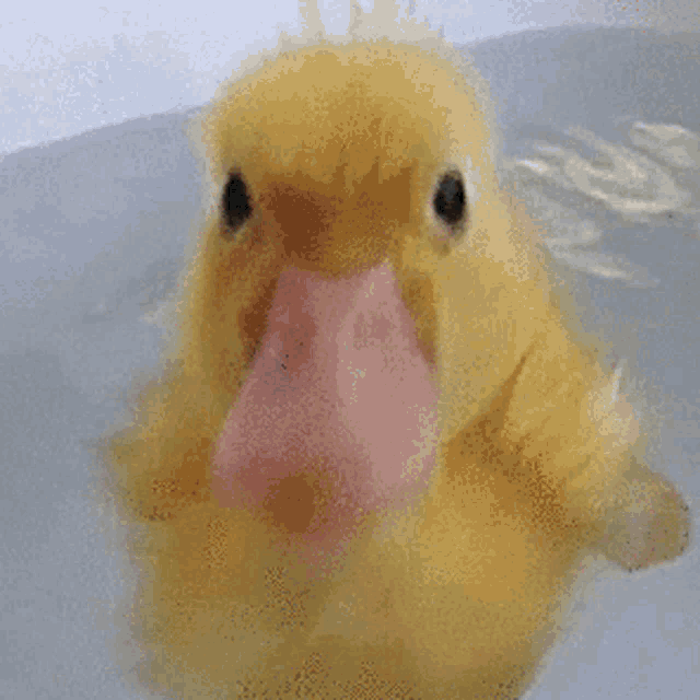 Tommyinnit Mcyt GIF