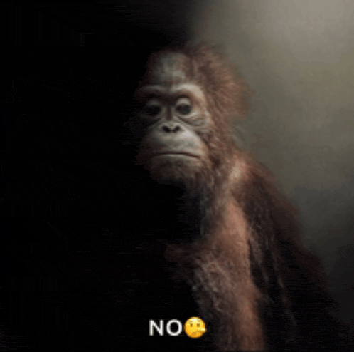 a monkey with a smiley face and the word no on it