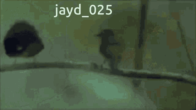 a close up of a person 's face with the name jayd 025 on the bottom