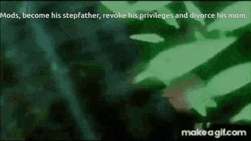 a green background with the words mods become his stepfather , revoke his privileges and divorce his mom