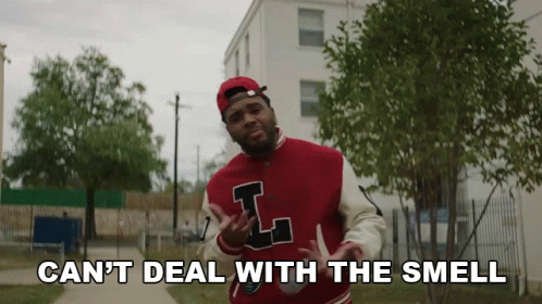 Cant Deal With The Smell Kevin Gates GIF - Cant Deal With The Smell Kevin Gates By My Lonely Song GIFs
