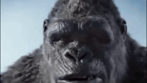 Kong Godzilla X Kong The New Empire GIF - Kong Godzilla X Kong The New Empire Smirk Kong GIFs