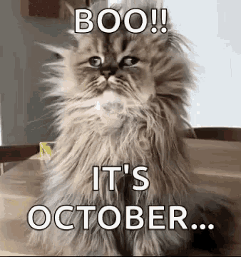 Boo Its October Good Morning GIF - Boo Its October Good Morning Funny Animals GIFs