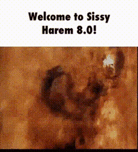 Sissy Harem GIF - Sissy Harem GIFs