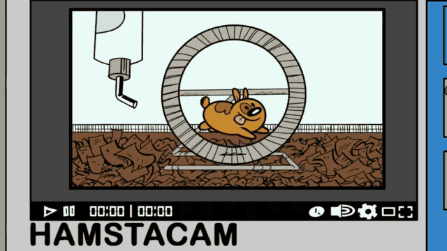 a video of a hamster in a hamster wheel with the words hamstacam on the bottom